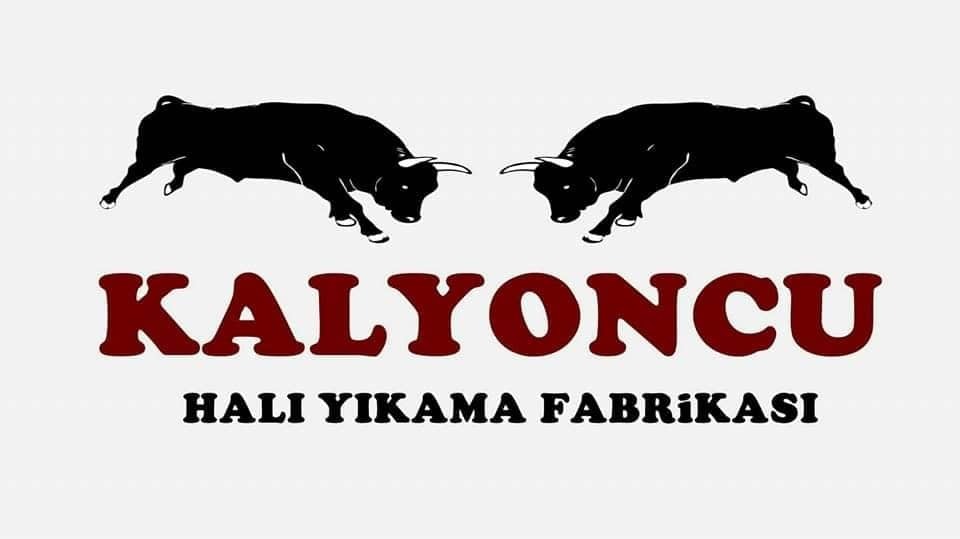 Kalyoncu Halı Yıkama 