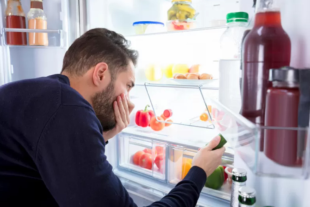 Buzdolabının Arkasından Gelen Koku Neden Olur?